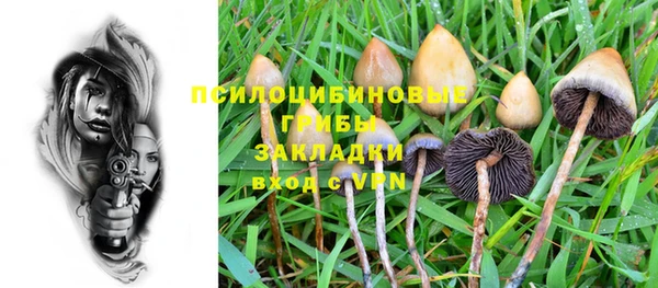 альфа пвп Краснослободск