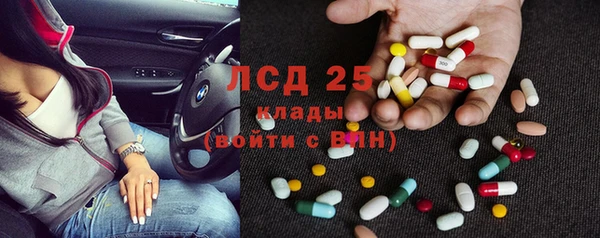 стафф Медвежьегорск