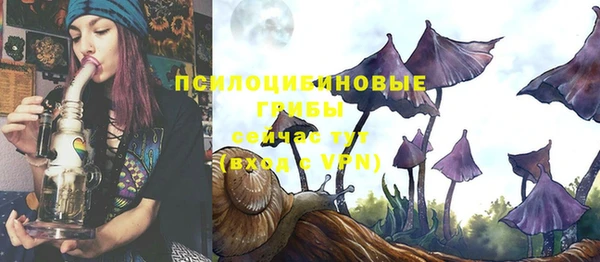 стафф Медвежьегорск