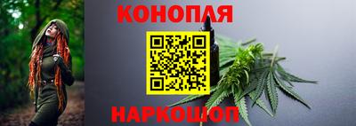 молекула духа Донской
