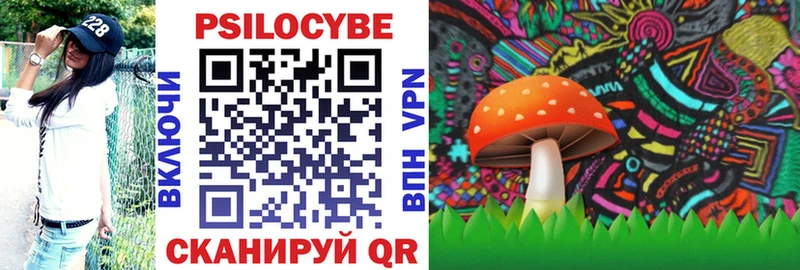 Галлюциногенные грибы MAGIC MUSHROOMS где найти наркотики Урус-Мартан